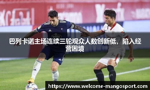 芒果体育官网入口