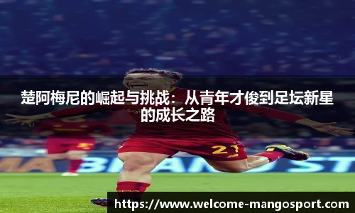 芒果体育